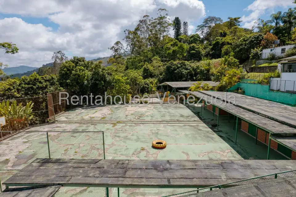Terreno (Comercial) en Venta en Oripoto, Distrito Metropolitano - 15