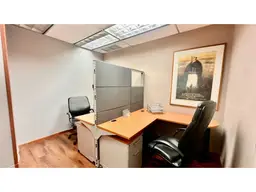Vista 21