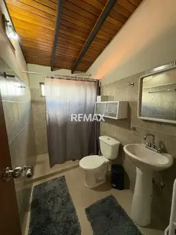 Vista 14