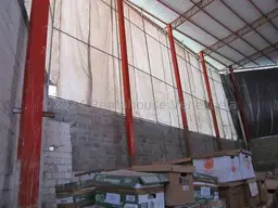 Vista 6