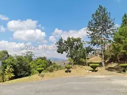 View 41