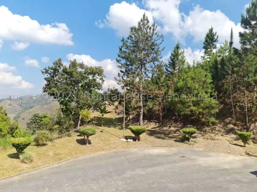 Casa (Multipes Niveles) en Venta en Mirador Panamericano, Miranda - 42