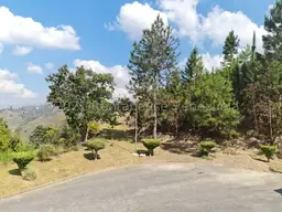 View 42