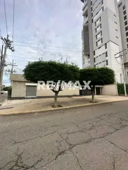 Vista 1
