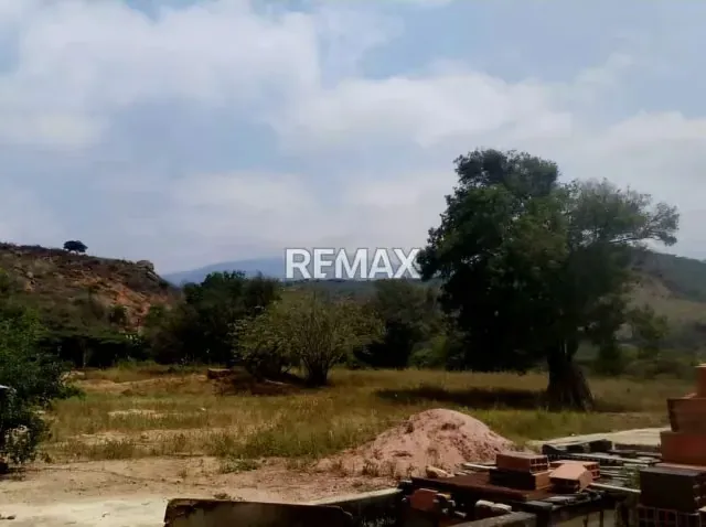 Finca La Prosperidad S.R. – Ubicada estratégicamente en el sector Los Clemones, municipio Libertad, Capacho - 2