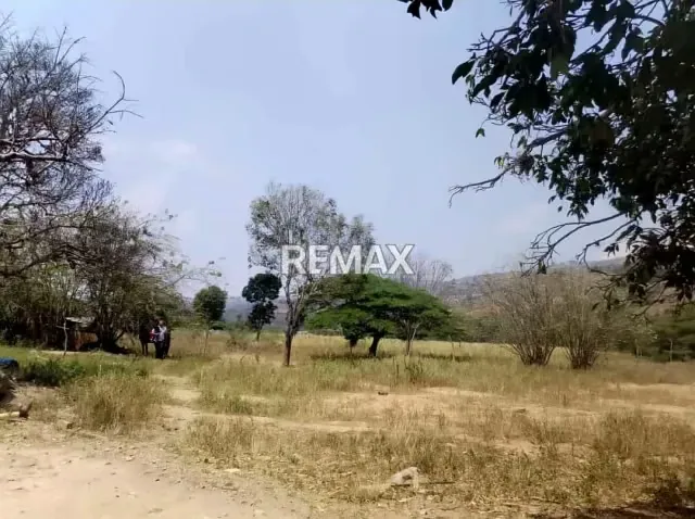 Finca La Prosperidad S.R. – Ubicada estratégicamente en el sector Los Clemones, municipio Libertad, Capacho - 5