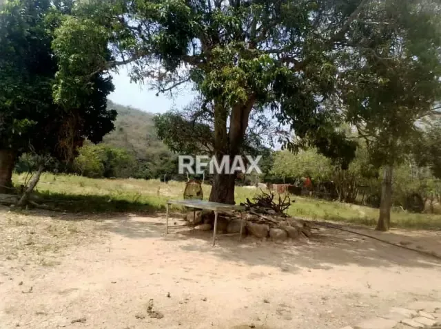 Finca La Prosperidad S.R. – Ubicada estratégicamente en el sector Los Clemones, municipio Libertad, Capacho - 6