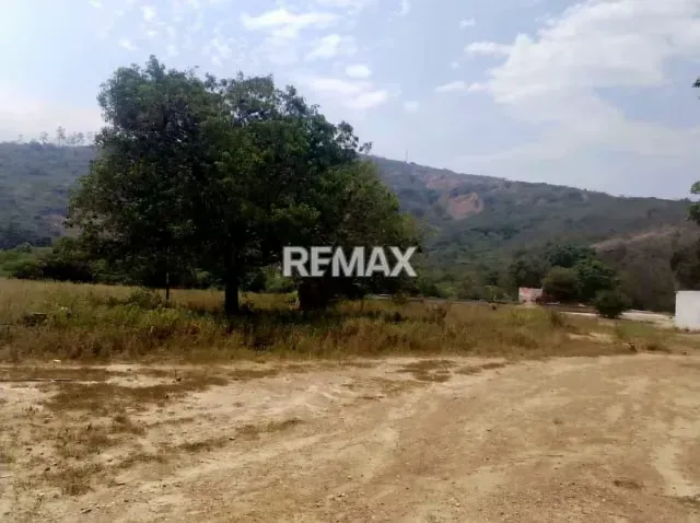 Finca La Prosperidad S.R. – Ubicada estratégicamente en el sector Los Clemones, municipio Libertad, Capacho - 9