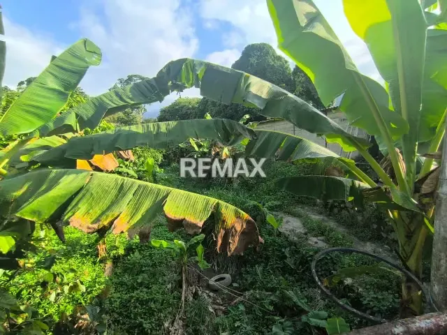 FINCA POSADA EN VENTA A UN PASO DEL MAR EN PUERTO CABELLO PANTANEMO - 16