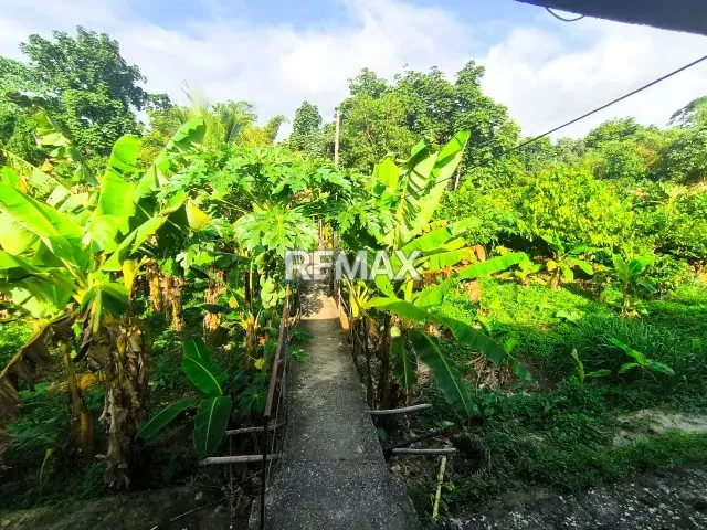 FINCA POSADA EN VENTA A UN PASO DEL MAR EN PUERTO CABELLO PANTANEMO - 9