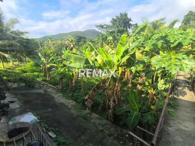 FINCA POSADA EN VENTA A UN PASO DEL MAR EN PUERTO CABELLO PANTANEMO - 10