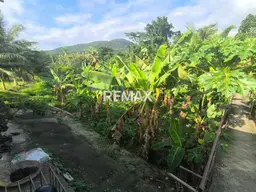 Vista 10