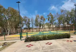 Vista 5