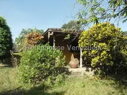 Vista 18