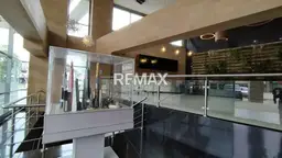 Vista 4