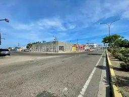 Vista 19