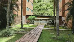 Vista 16