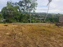 Vista 14