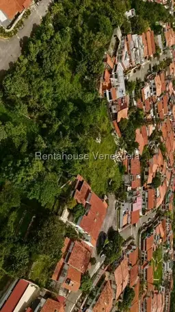 Vista 6