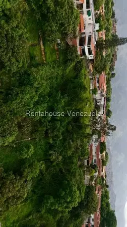 Vista 10