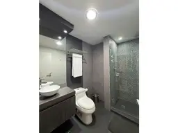 Vista 19