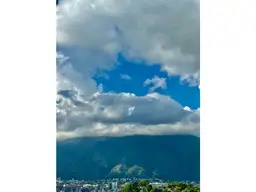 View 12