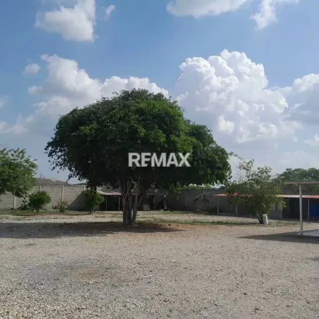 Terreno en Venta El Potrero Tamaca Zona Norte - Barquisimeto - 13
