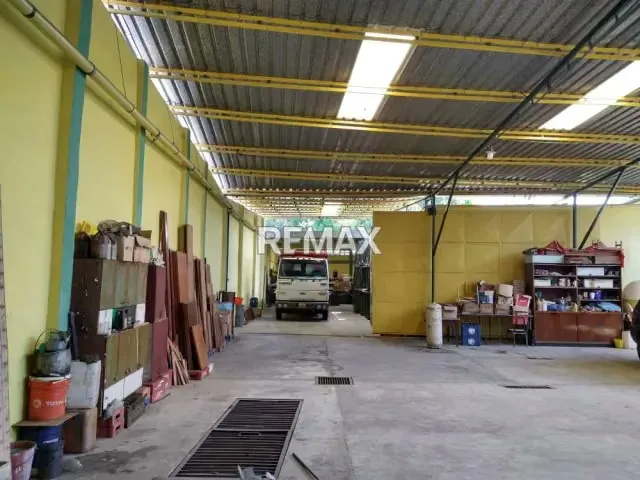 Galpón, locales y apartamentos en La Romana 668 Mts2. - 4