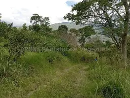 Vista 1