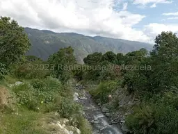 Vista 11