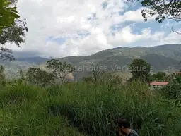 Vista 12