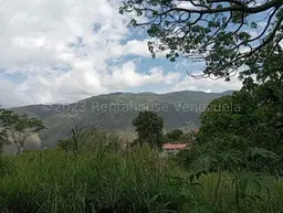 Vista 13