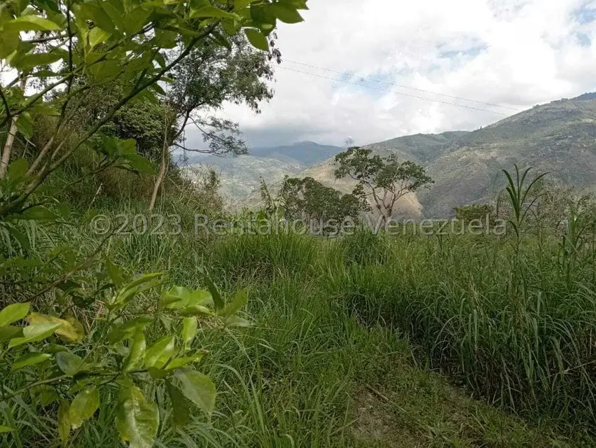 Terreno (Comercial) en Venta en Salado Bajo, Merida - 14