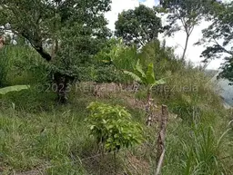Vista 16