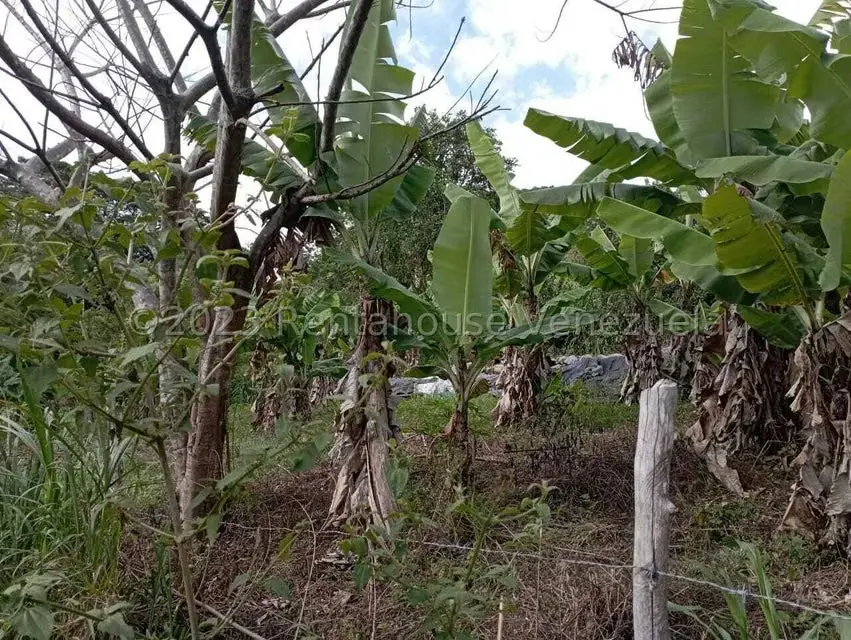 Terreno (Comercial) en Venta en Salado Bajo, Merida - 18