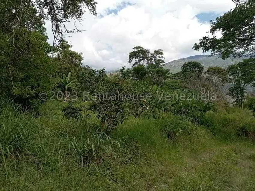Terreno (Comercial) en Venta en Salado Bajo, Merida - 19