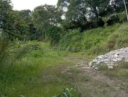 Vista 20