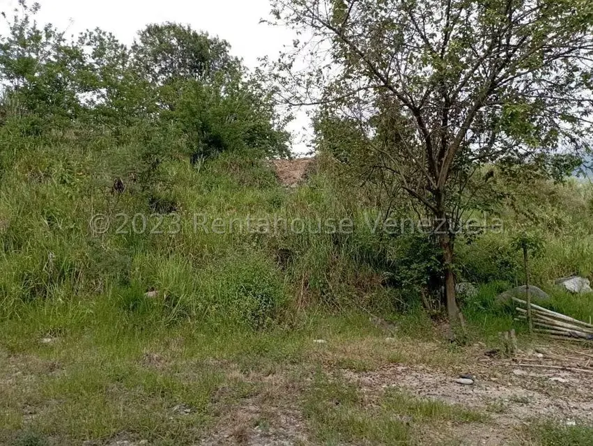 Terreno (Comercial) en Venta en Salado Bajo, Merida - 23