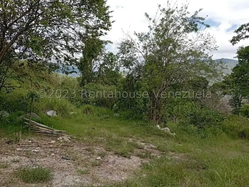 Terreno (Comercial) en Venta en Salado Bajo, Merida - 25