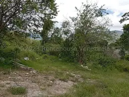 Vista 25