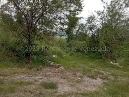 Vista 26