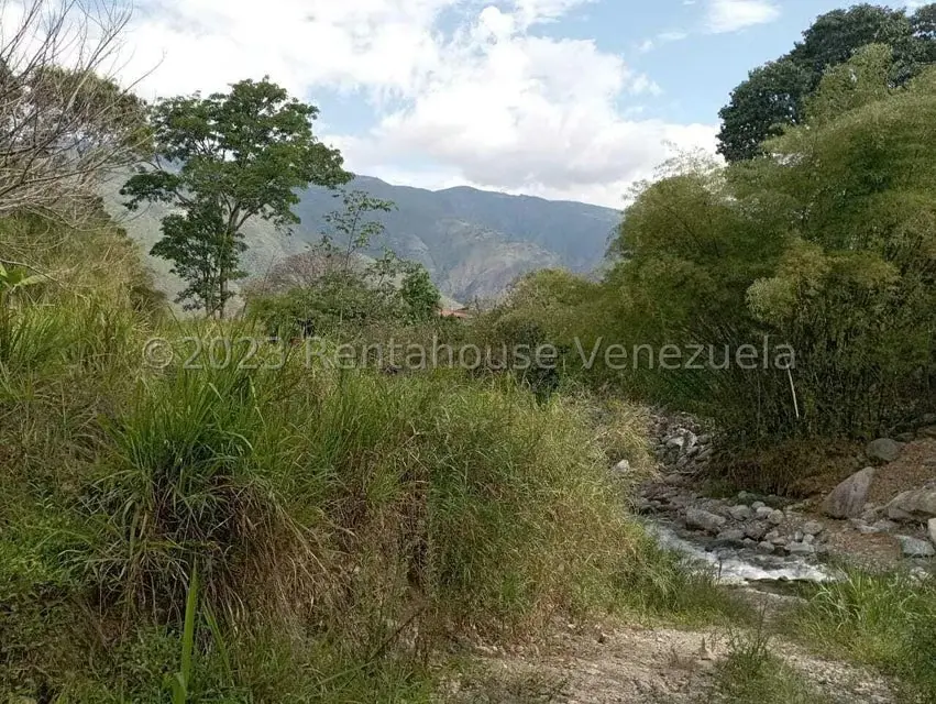 Terreno (Comercial) en Venta en Salado Bajo, Merida - 29