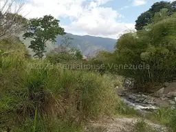 Vista 29