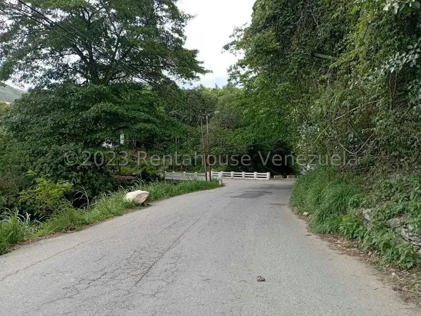 Terreno (Comercial) en Venta en Salado Bajo, Merida - 3