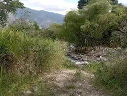 Vista 31
