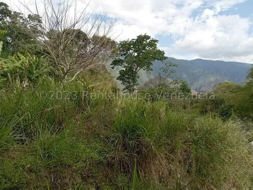 Terreno (Comercial) en Venta en Salado Bajo, Merida - 32