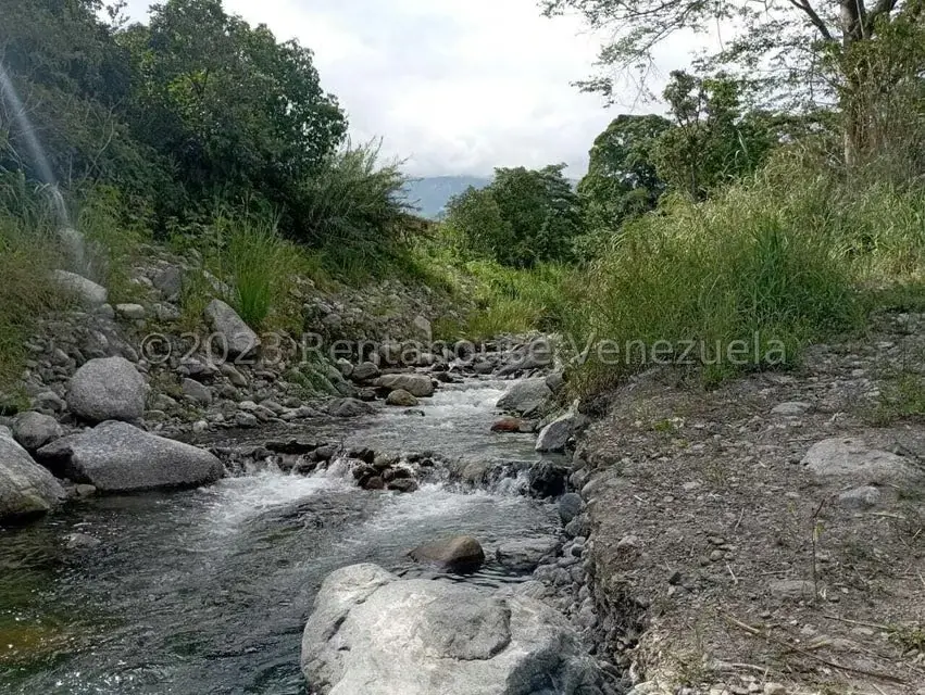 Terreno (Comercial) en Venta en Salado Bajo, Merida - 35