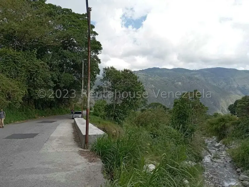 Terreno (Comercial) en Venta en Salado Bajo, Merida - 4