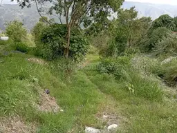 Vista 5