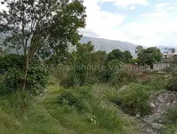 Vista 6